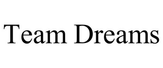 TEAM DREAMS