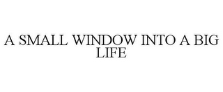 A SMALL WINDOW INTO A BIG LIFE