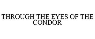 THROUGH THE EYES OF THE CONDOR