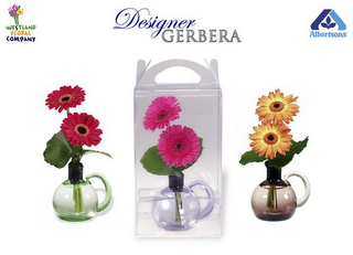 DESIGNER GERBERA