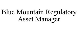 BLUE MOUNTAIN REGULATORY ASSET MANAGER