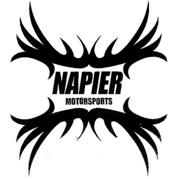 NAPIER MOTORSPORTS