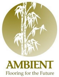 AMBIENT FLOORING FOR THE FUTURE