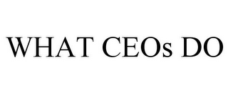 WHAT CEOS DO