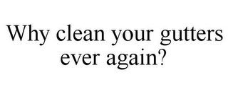 WHY CLEAN YOUR GUTTERS EVER AGAIN?