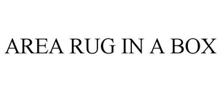 AREA RUG IN A BOX