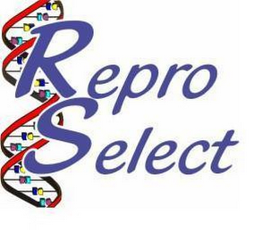 REPRO SELECT