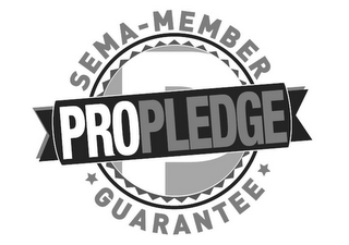 P PROPLEDGE SEMA - MEMBER GUARANTEE