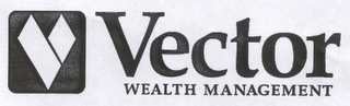 V VECTOR WEALTH MANAGEMENT