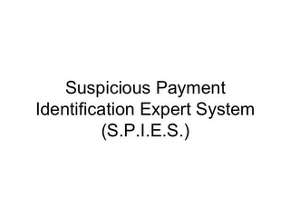 SUSPICIOUS PAYMENT IDENTIFICATION EXPERT SYSTEM (S.P.I.E.S.)