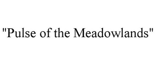 "PULSE OF THE MEADOWLANDS"