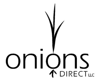 ONIONS DIRECT LLC