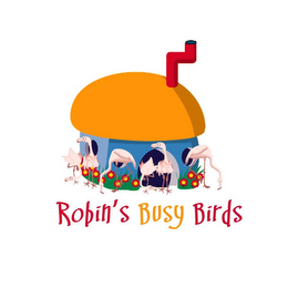 ROBIN'S BUSY BIRDS