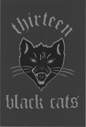 13 THIRTEEN BLACK CATS