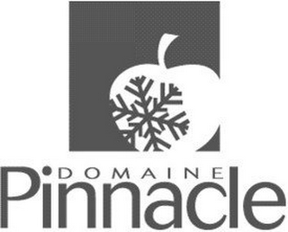 DOMAINE PINNACLE