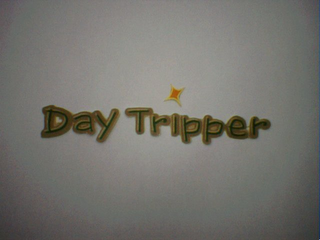 DAY TRIPPER