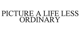 PICTURE A LIFE LESS ORDINARY