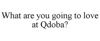 WHAT ARE YOU GOING TO LOVE AT QDOBA?