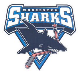 WORCESTER SHARKS