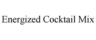 ENERGIZED COCKTAIL MIX