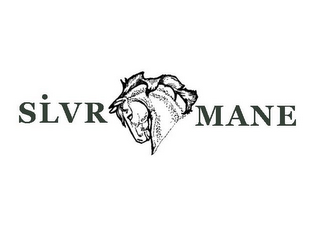 SLVR MANE