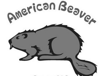 AMERICAN BEAVER