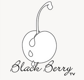 BLACK BERRY TV