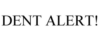 DENT ALERT!