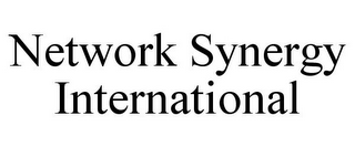 NETWORK SYNERGY INTERNATIONAL