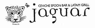 JAGUAR CEVICHE SPOON BAR & LATAM GRILL