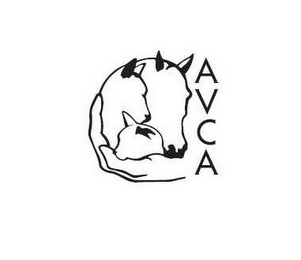 AVCA