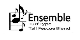 ENSEMBLE TURF TYPE TALL FESCUE BLEND