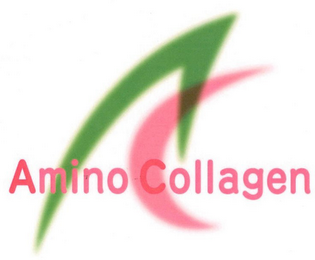 AMINO COLLAGEN