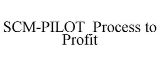 SCM-PILOT PROCESS TO PROFIT