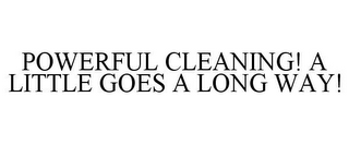 POWERFUL CLEANING! A LITTLE GOES A LONG WAY!