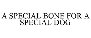 A SPECIAL BONE FOR A SPECIAL DOG