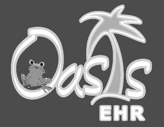 OASIS EHR