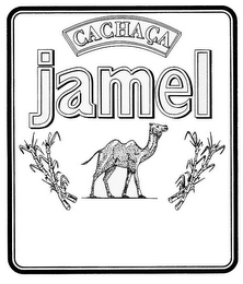 JAMEL CACHACA