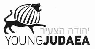YOUNGJUDAEA