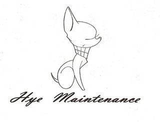 HYE MAINTENANCE