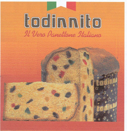 TODINNITO IL VERO PANETTONE ITALIANO TODINNO