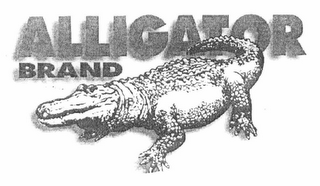 ALLIGATOR BRAND