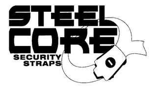 STEEL CORE SECURITY STRAPS