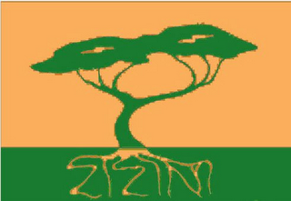 ZIZINI