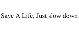 SAVE A LIFE, JUST SLOW DOWN