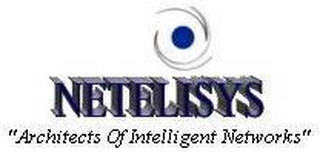 NETELISYS "ARCHITECTS OF INTELLIGENT NETWORKS"