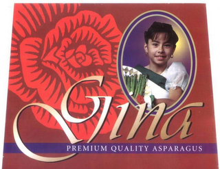 GINA PREMIUM QUALITY ASPARAGUS