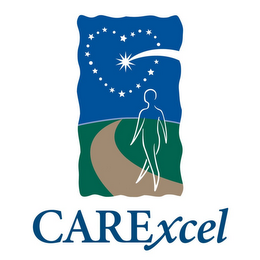 CAREXCEL