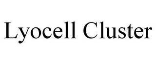 LYOCELL CLUSTER