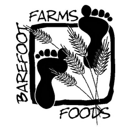 BAREFOOT FARMS FOODS